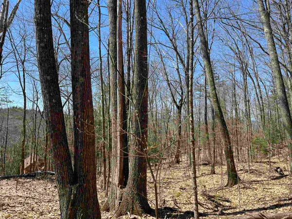 $795,000 | H16 Tobey Road, Campton, NH 03223
