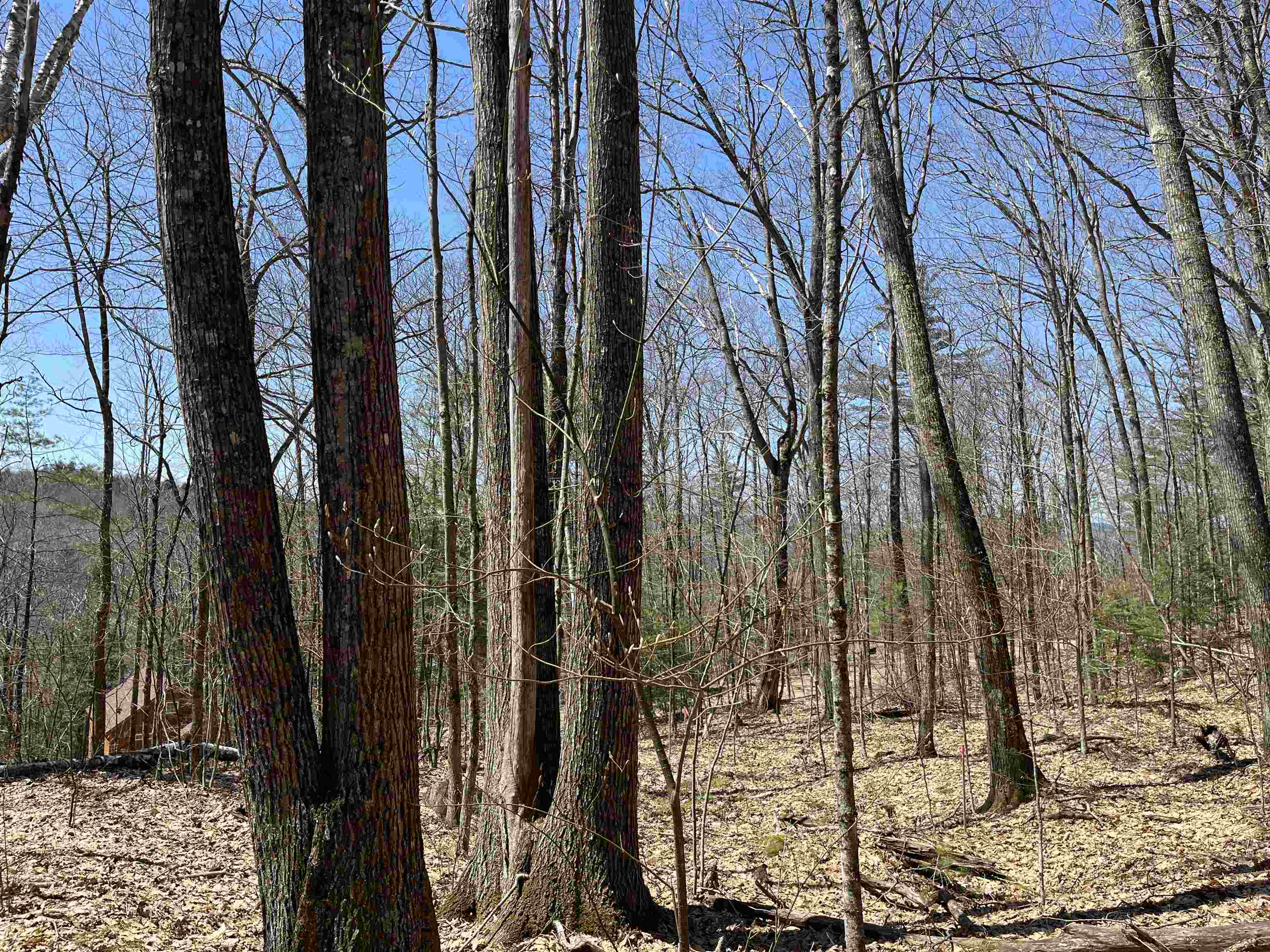 H16 Tobey Road Campton, NH 03223 - Photo 2 of 11