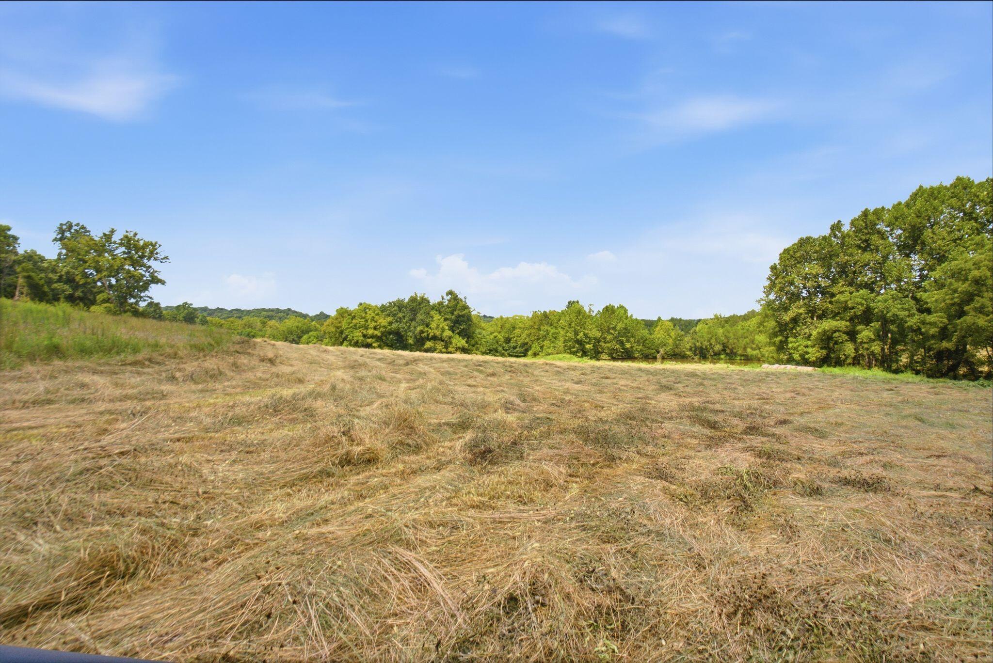 15529 St John Road, Unit TRACT #2 Rineyville, KY 40162 - Photo 33 of 39 dsc04617