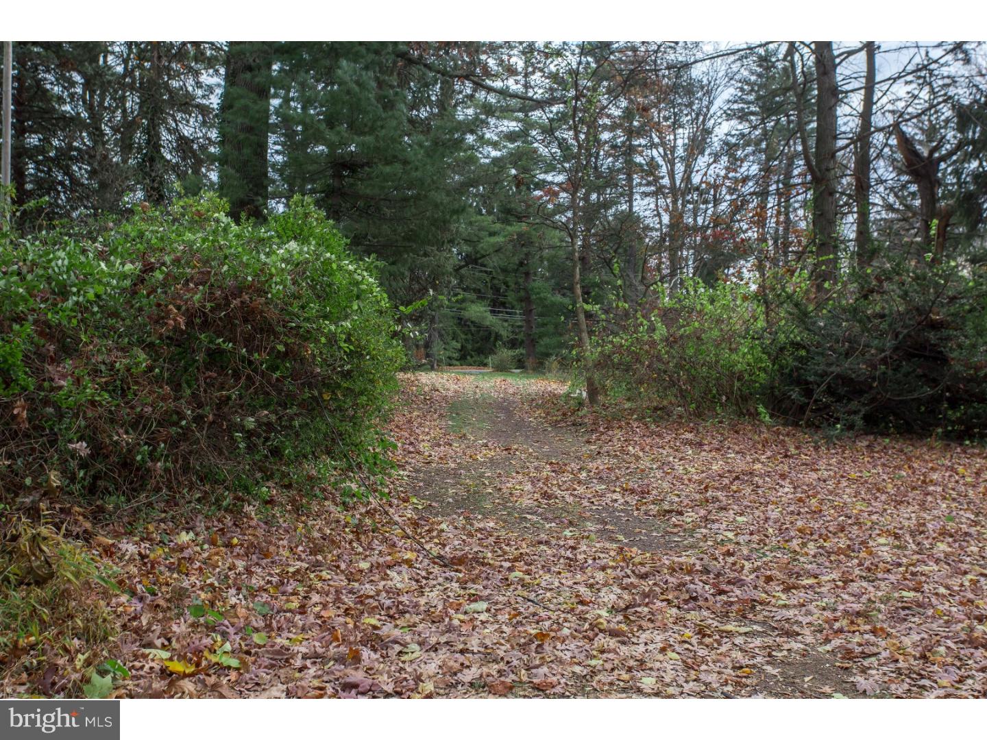 228 Red Lion Road Huntingdon Valley, PA 19006 - Photo 6 of 12