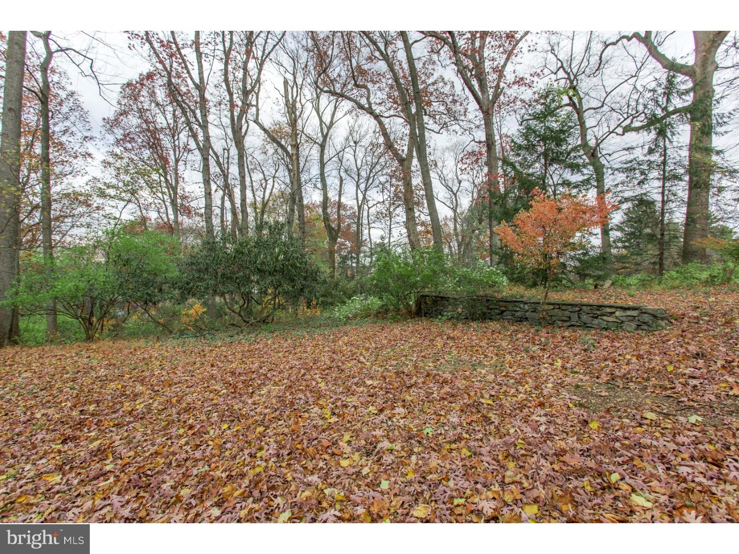 228 Red Lion Road Huntingdon Valley, PA 19006 - Photo 8 of 12