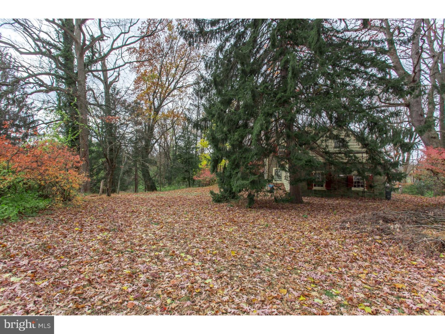 228 Red Lion Road Huntingdon Valley, PA 19006 - Photo 9 of 12