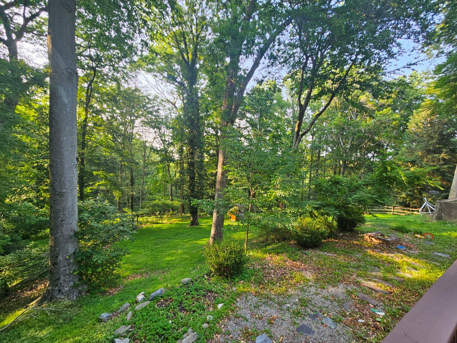 400 Marple Road Broomall, PA 19008 - Photo 21 of 26 Backyard