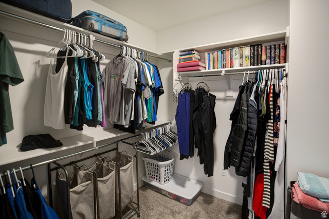 983 South 950 West Provo, UT 84601 - Photo 21 of 56 Walk-in closet featuring multiple shelving units, chrome hanging rods, and carpet flooring