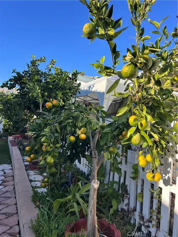 a picture of flowers