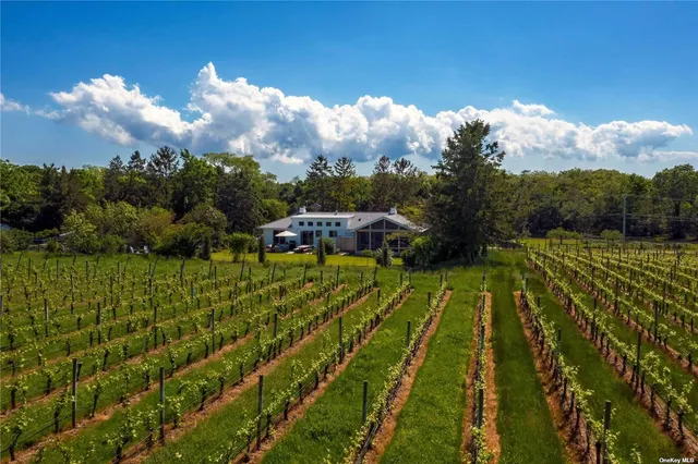 a view of an outdoor space and a yard