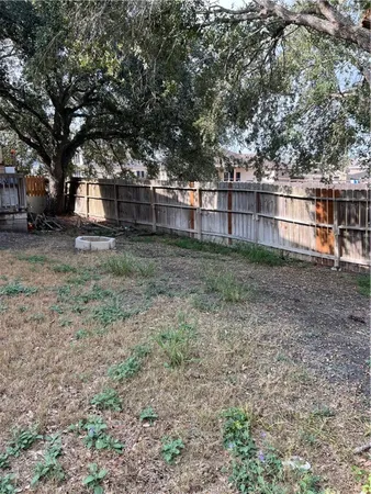 a view of a backyard with large trees