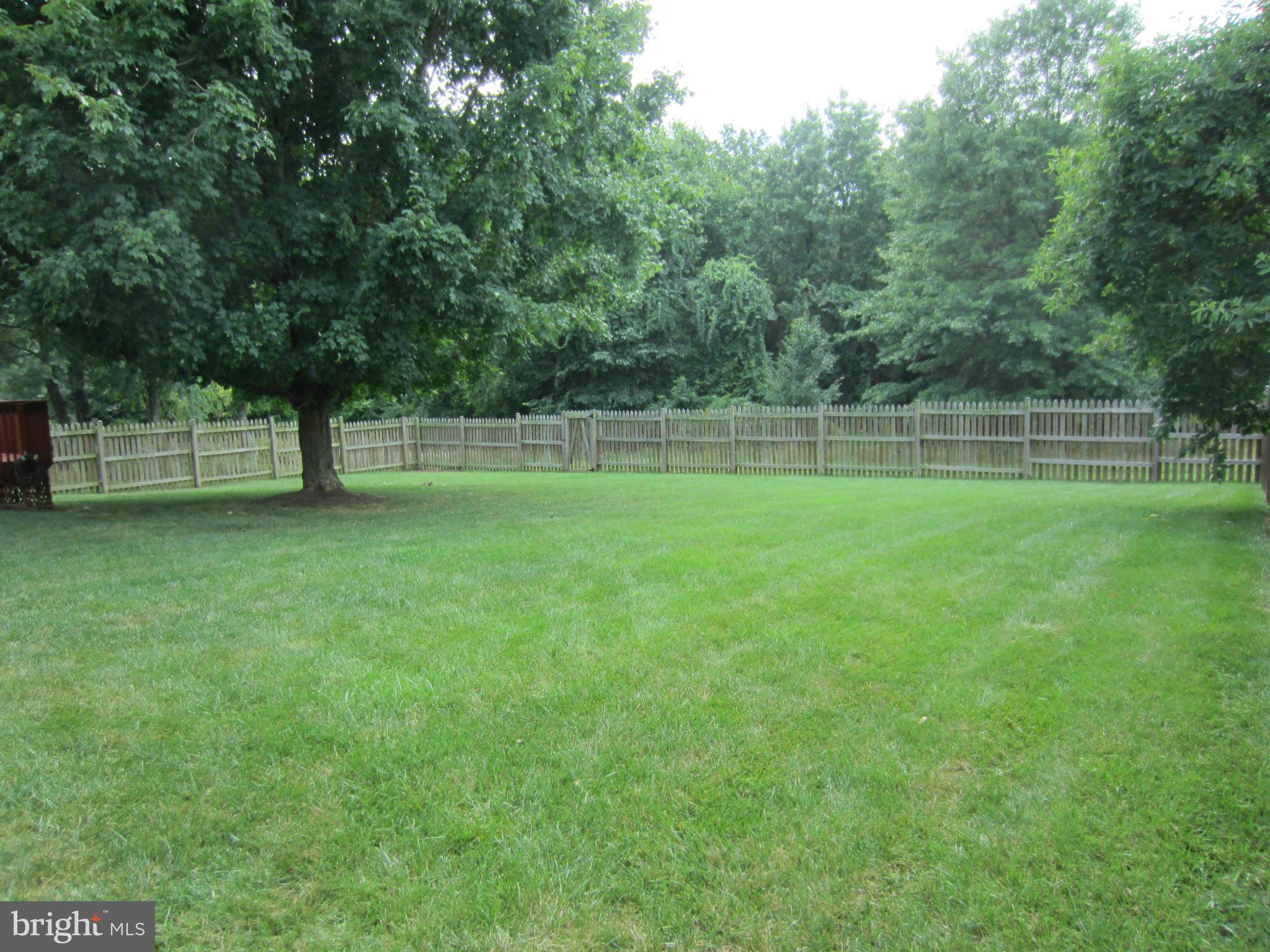 14316 Twig Road Silver Spring, MD 20905 - Photo 2 of 29 a view of a back yard