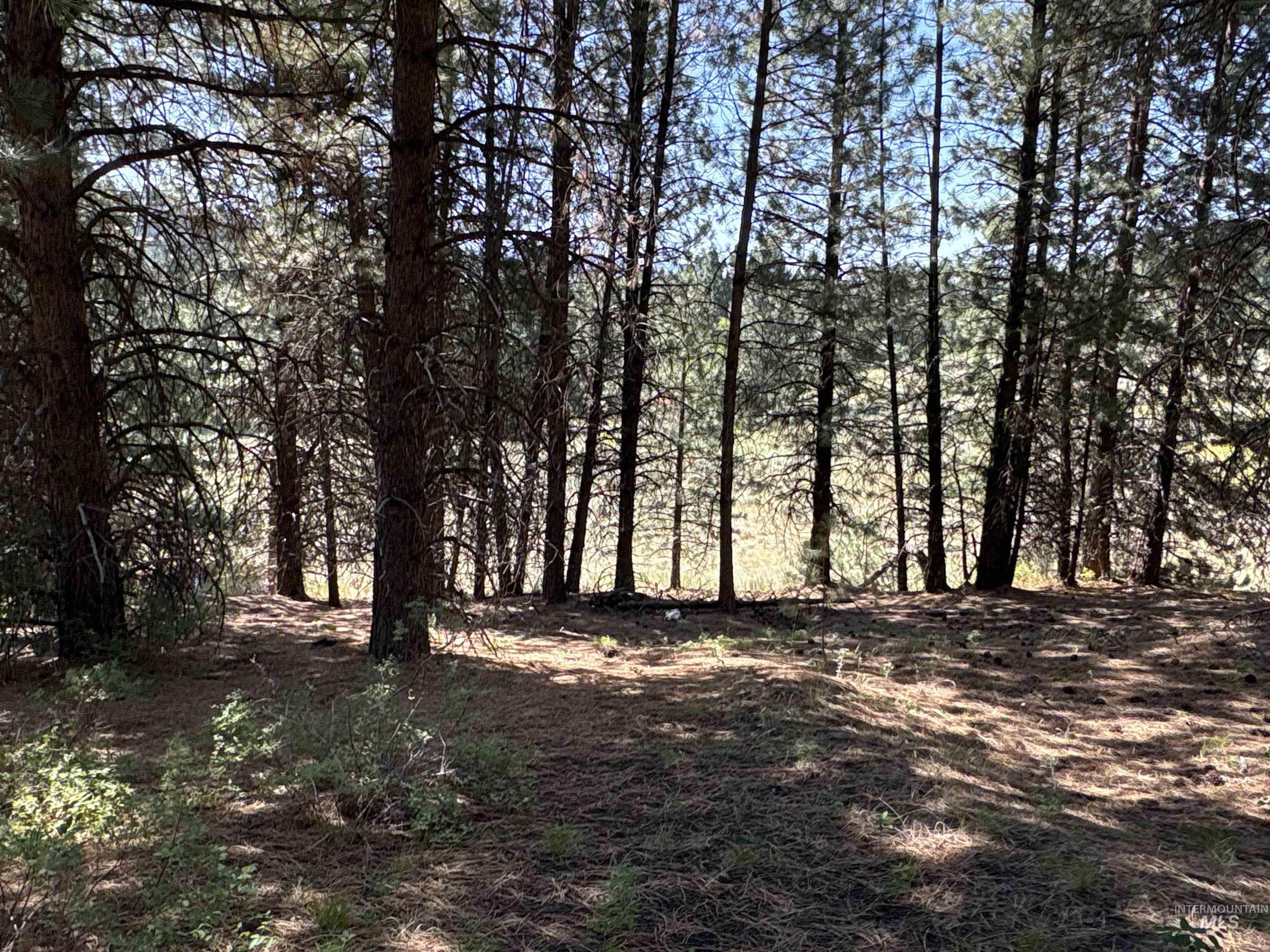 Tbd Smith Creek Road Mountain Home, ID 83647 - Photo 15 of 19