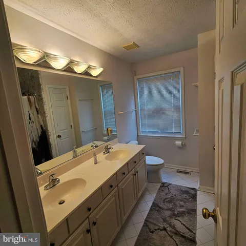 a bathroom with a sink a toilet and mirror