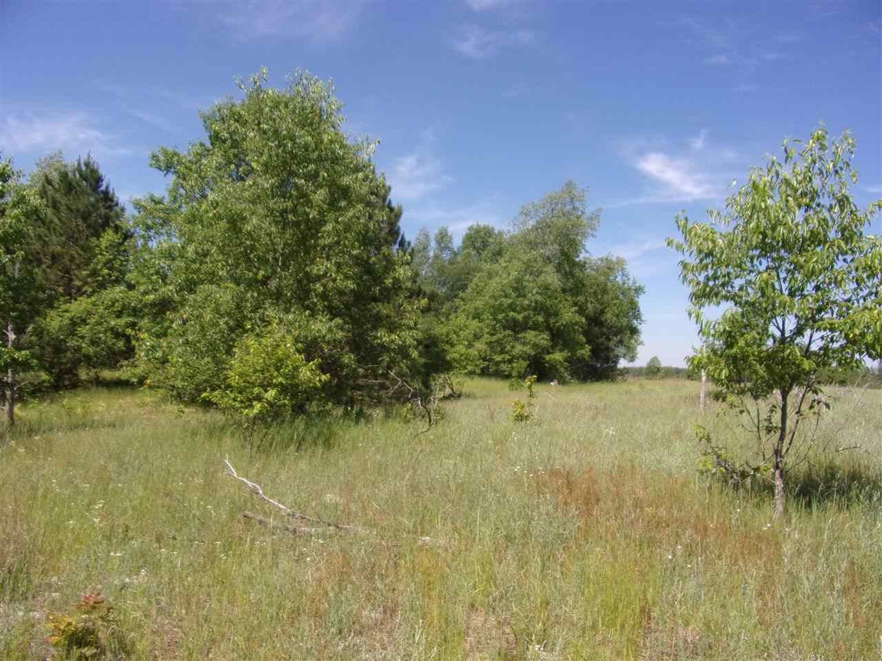 0 West Cutcheon Road Manton, MI 49663 - Photo 5 of 11 Gallery Image 5