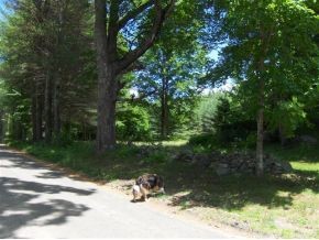 377 Tarbell Road Springfield, VT 05143 - Photo 19 of 20