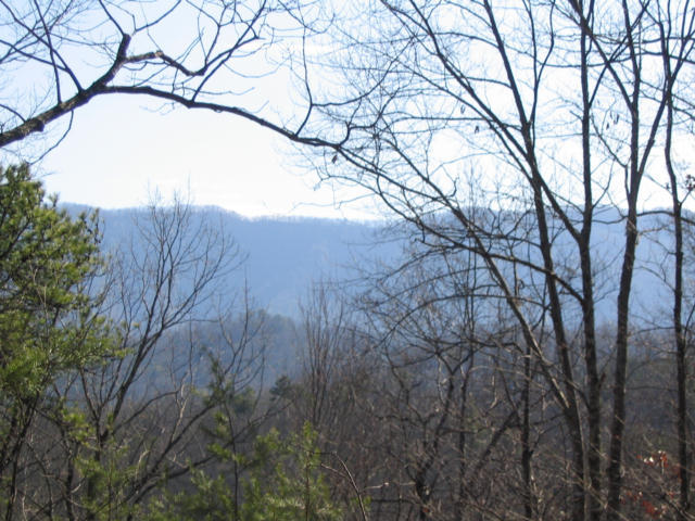 Off Cooper Road Vonore, TN 37885 - Photo 1 of 33 2188_1