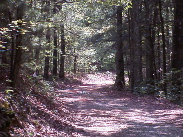 Off Cooper Road Vonore, TN 37885 - Photo 2 of 33 RIM00010