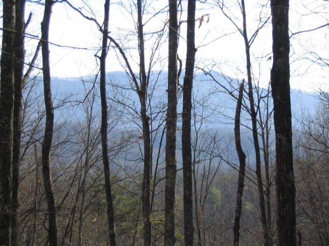 Off Cooper Road Vonore, TN 37885 - Photo 11 of 33 2188_44