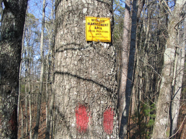 Off Cooper Road Vonore, TN 37885 - Photo 12 of 33 2188_45