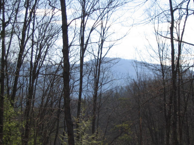 Off Cooper Road Vonore, TN 37885 - Photo 13 of 33 2188_46