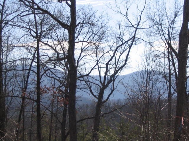 Off Cooper Road Vonore, TN 37885 - Photo 14 of 33 2188_47