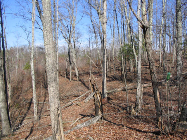 Off Cooper Road Vonore, TN 37885 - Photo 15 of 33 2188_48