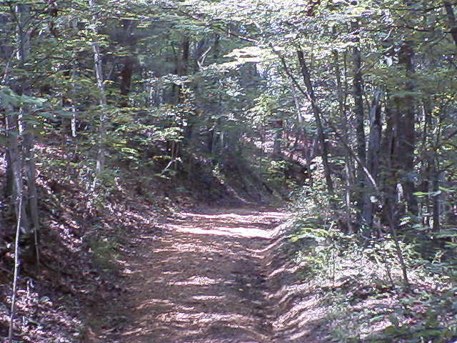 Off Cooper Road Vonore, TN 37885 - Photo 17 of 33 2188_50