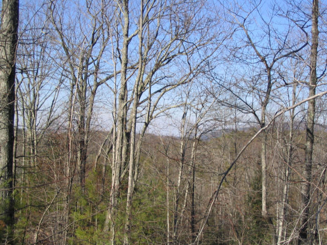 Off Cooper Road Vonore, TN 37885 - Photo 18 of 33 2188_51