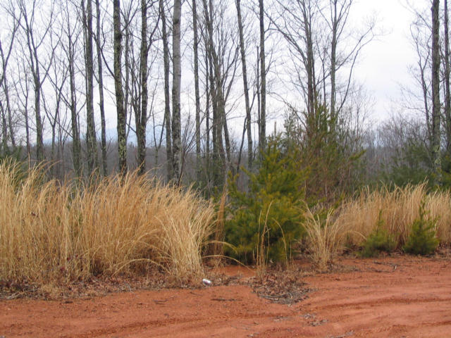 Off Cooper Road Vonore, TN 37885 - Photo 20 of 33 IMG_0097