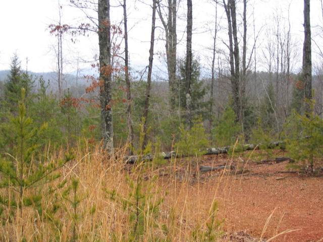 Off Cooper Road Vonore, TN 37885 - Photo 21 of 33 IMG_0098