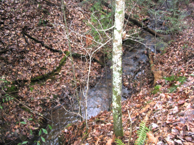 Off Cooper Road Vonore, TN 37885 - Photo 22 of 33 IMG_0103