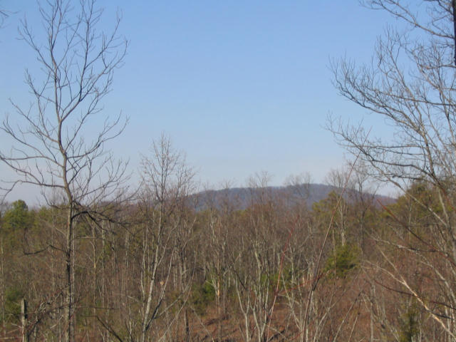 Off Cooper Road Vonore, TN 37885 - Photo 24 of 33 IMG_2241