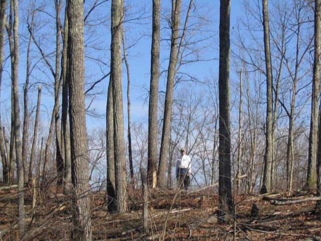 Off Cooper Road Vonore, TN 37885 - Photo 25 of 33 IMG_2242