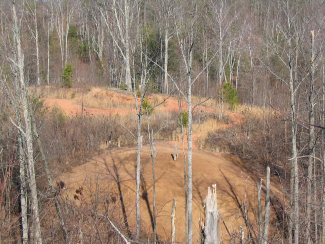 Off Cooper Road Vonore, TN 37885 - Photo 26 of 33 IMG_2245