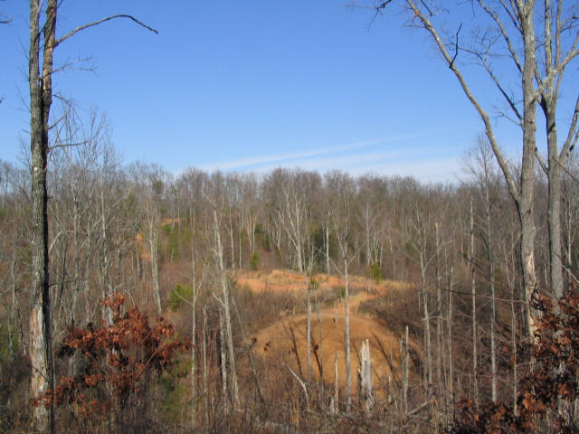 Off Cooper Road Vonore, TN 37885 - Photo 27 of 33 IMG_2246