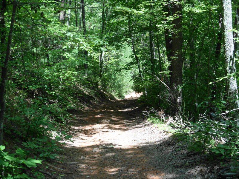 Off Cooper Road Vonore, TN 37885 - Photo 4 of 33 2188_2