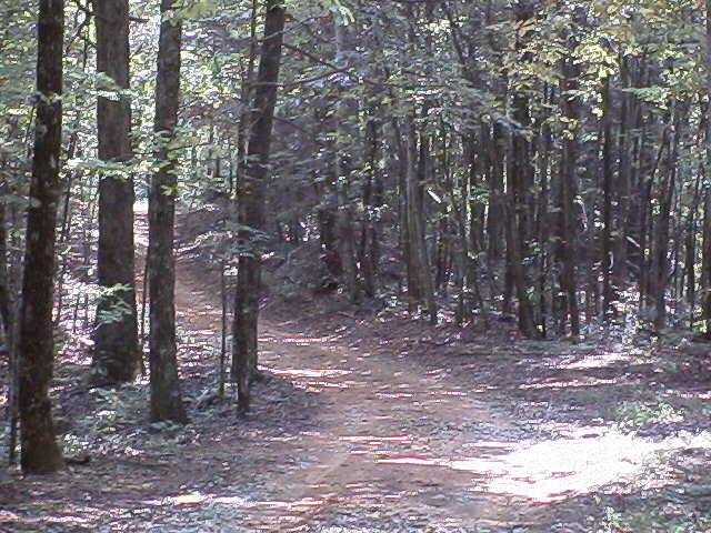 Off Cooper Road Vonore, TN 37885 - Photo 31 of 33 RIM00002