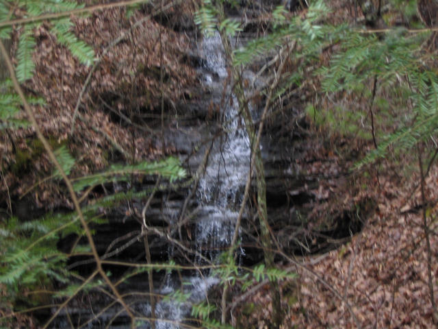 Off Cooper Road Vonore, TN 37885 - Photo 5 of 33 2188_3