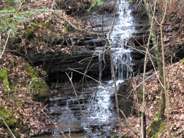 Off Cooper Road Vonore, TN 37885 - Photo 6 of 33 2188_4