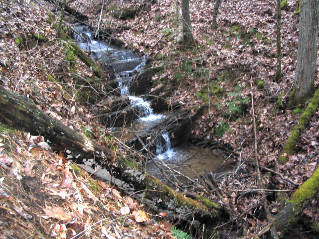 Off Cooper Road Vonore, TN 37885 - Photo 7 of 33 2188_40