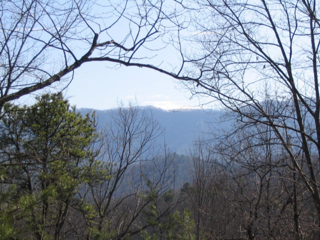 Off Cooper Road Vonore, TN 37885 - Photo 8 of 33 2188_41