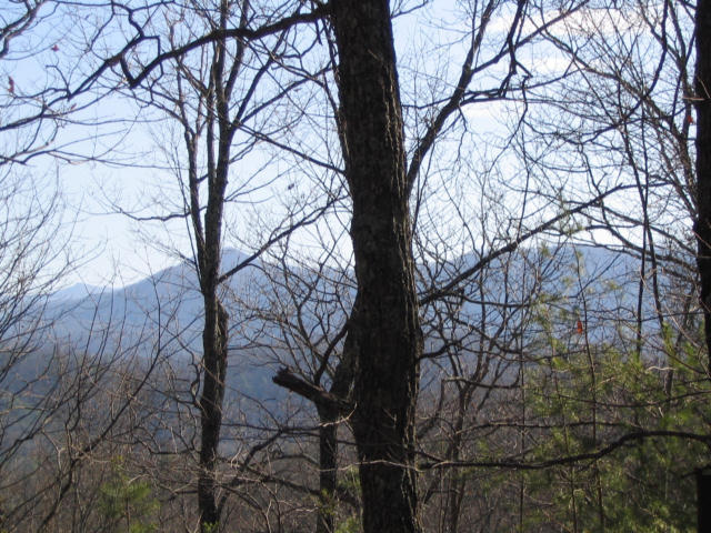 Off Cooper Road Vonore, TN 37885 - Photo 9 of 33 2188_42