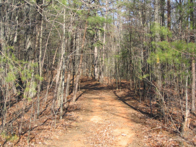 Off Cooper Road Vonore, TN 37885 - Photo 10 of 33 2188_43