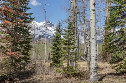 a plant that is in front of a building