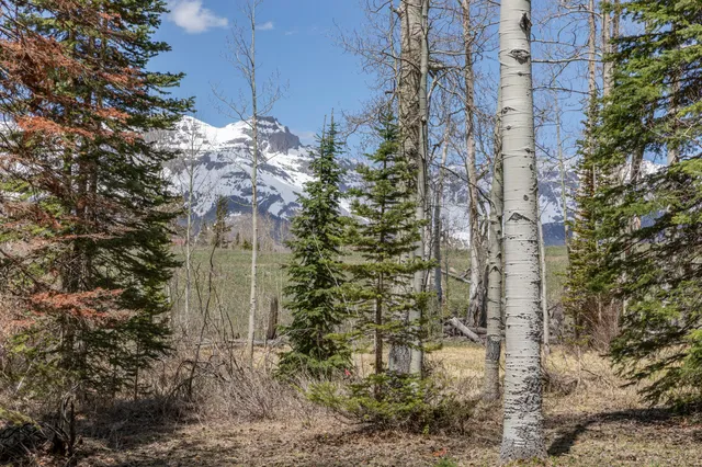 a plant that is in front of a building