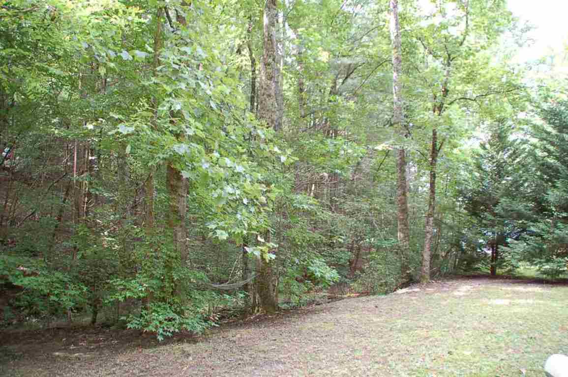 665 Chattooga Lake Road Mountain Rest, SC 29664 - Photo 6 of 9 Gallery Image 6