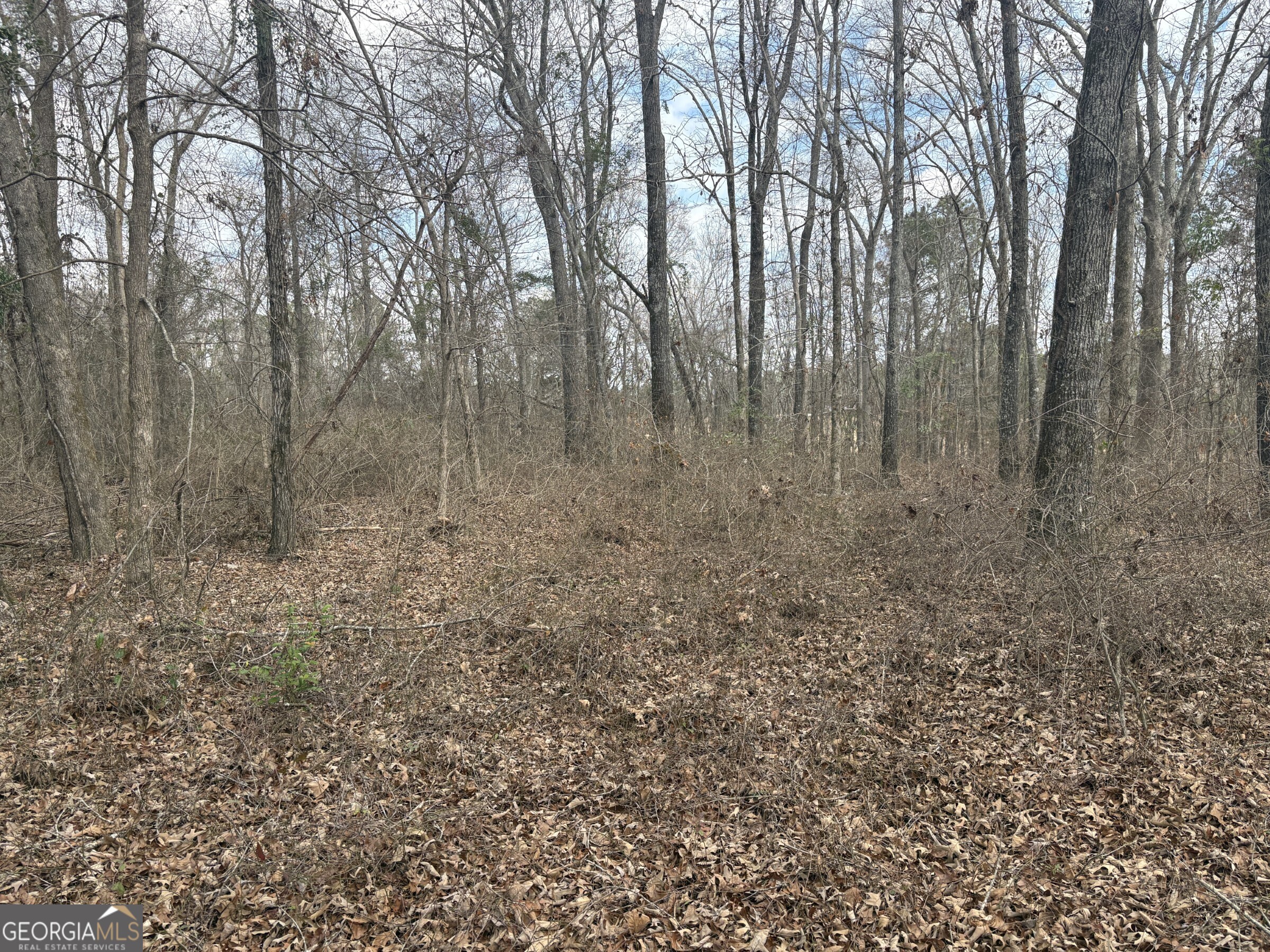 L8 Quaker Road Keysville, GA 30816 - Photo 10 of 10