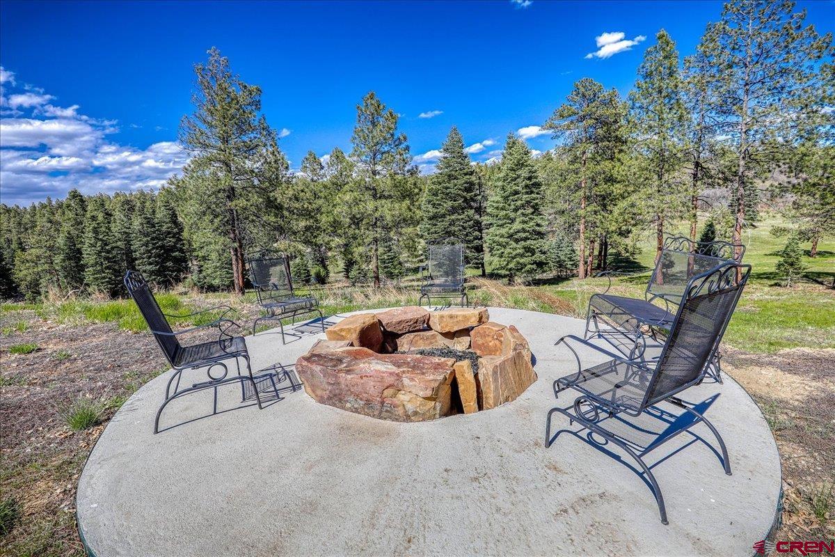 1798 Ranchland Drive Pagosa Springs, CO 81147 - Photo 3 of 45