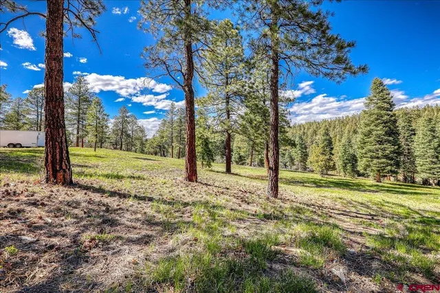 $749,000 | 1798 Ranchland Drive, Pagosa Springs, CO 81147