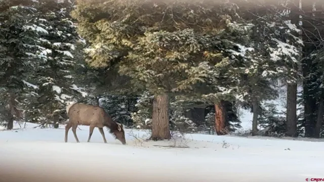 $749,000 | 1798 Ranchland Drive, Pagosa Springs, CO 81147