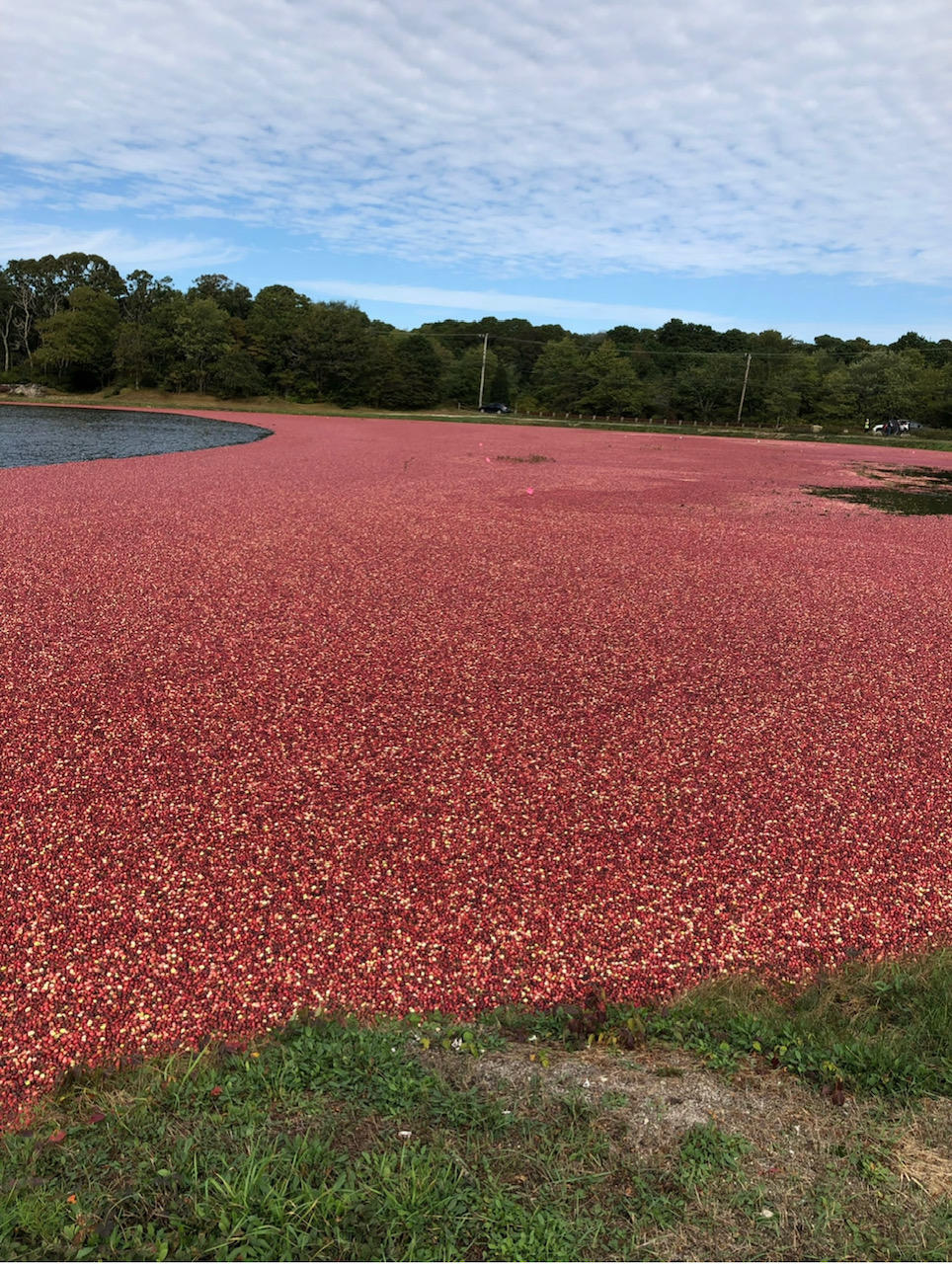 8 Sumner Lane Brewster, MA 02631 - Photo 8 of 43 a view of outdoor space and mountain view
