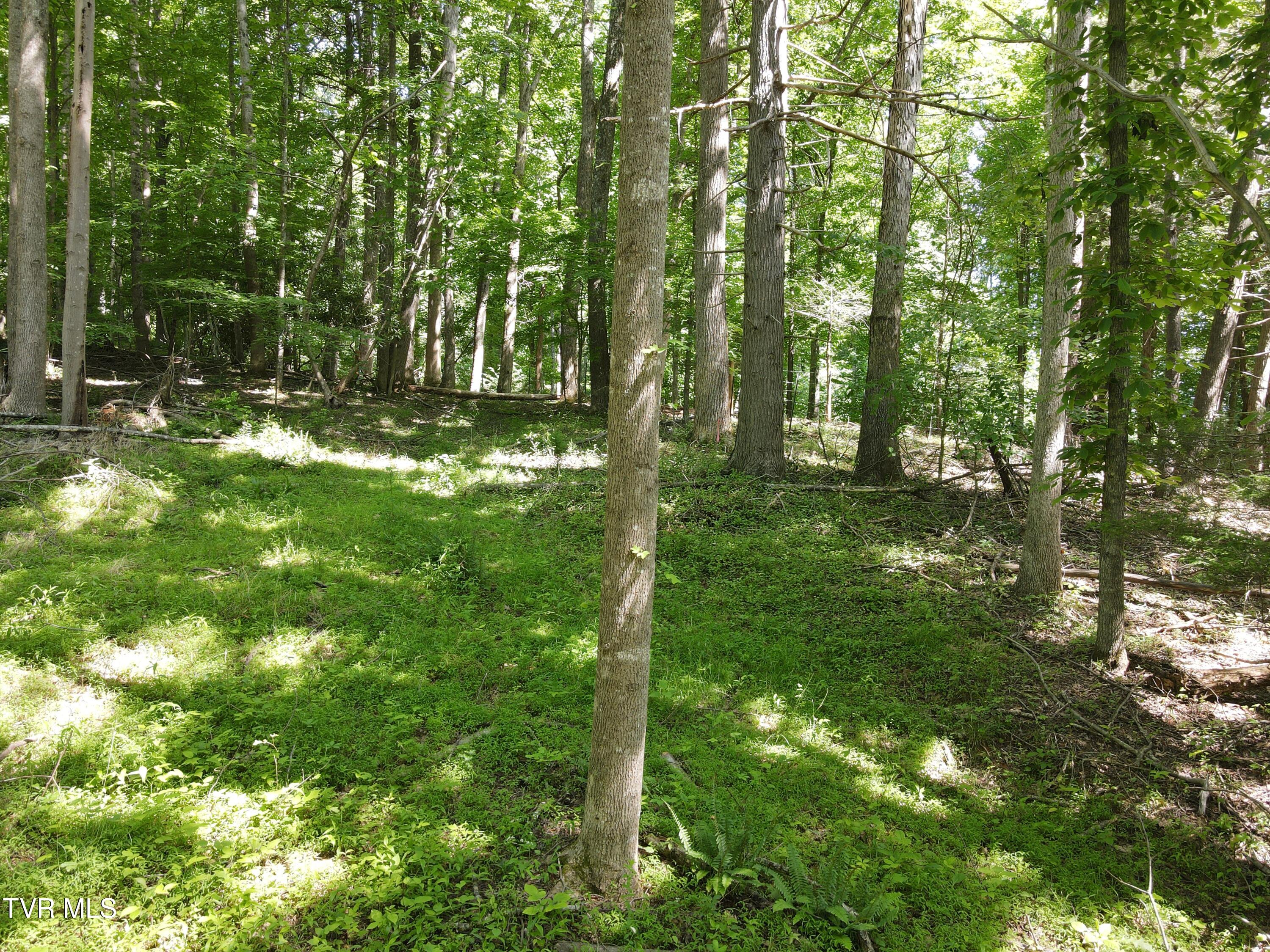 Tbd Whispering Pines Road Johnson City, TN 37601 - Photo 7 of 15 DJI_0698