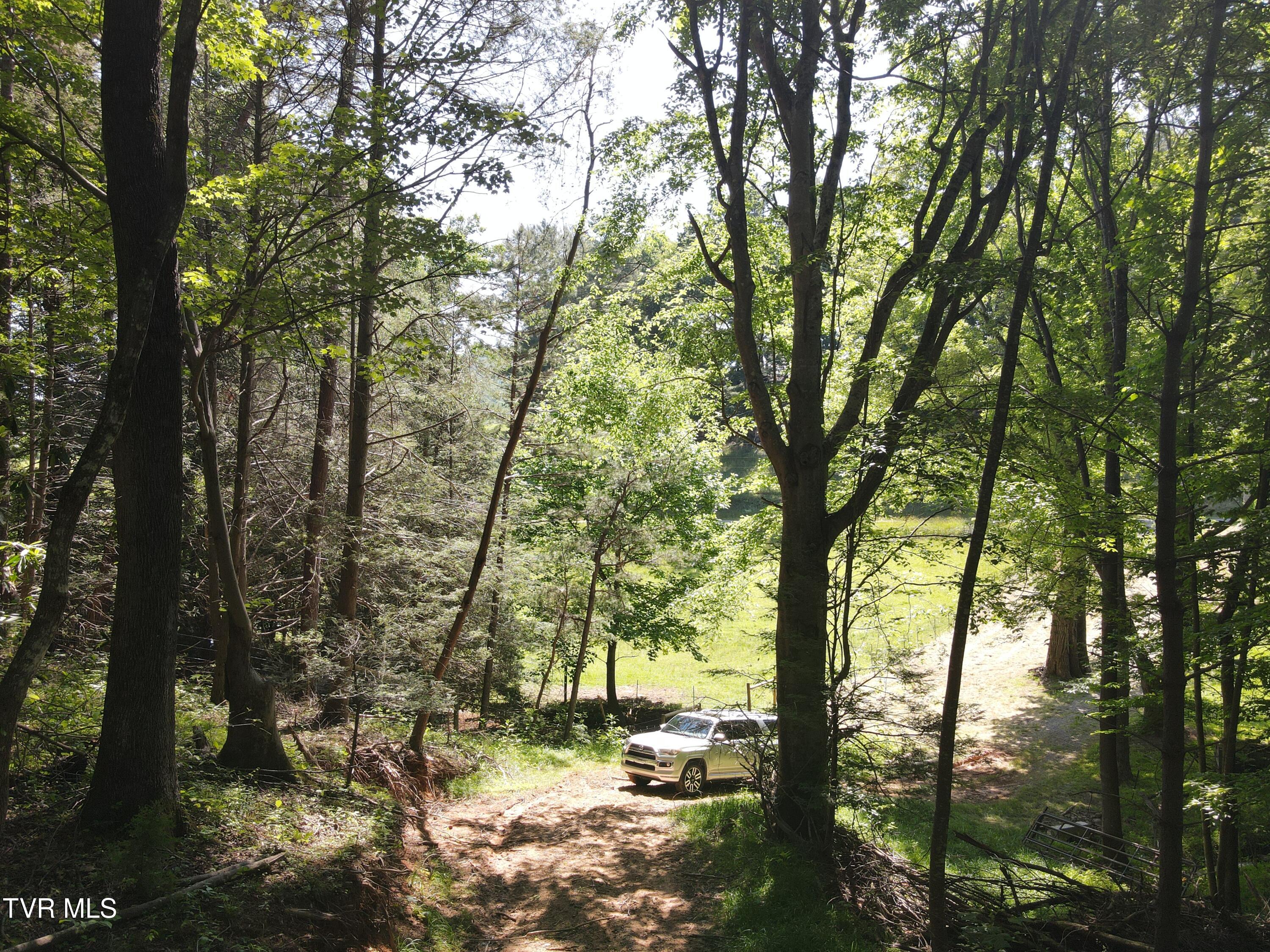 Tbd Whispering Pines Road Johnson City, TN 37601 - Photo 8 of 15 DJI_0699